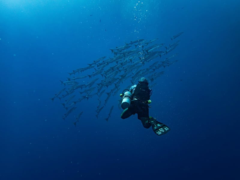 Underwater Photography